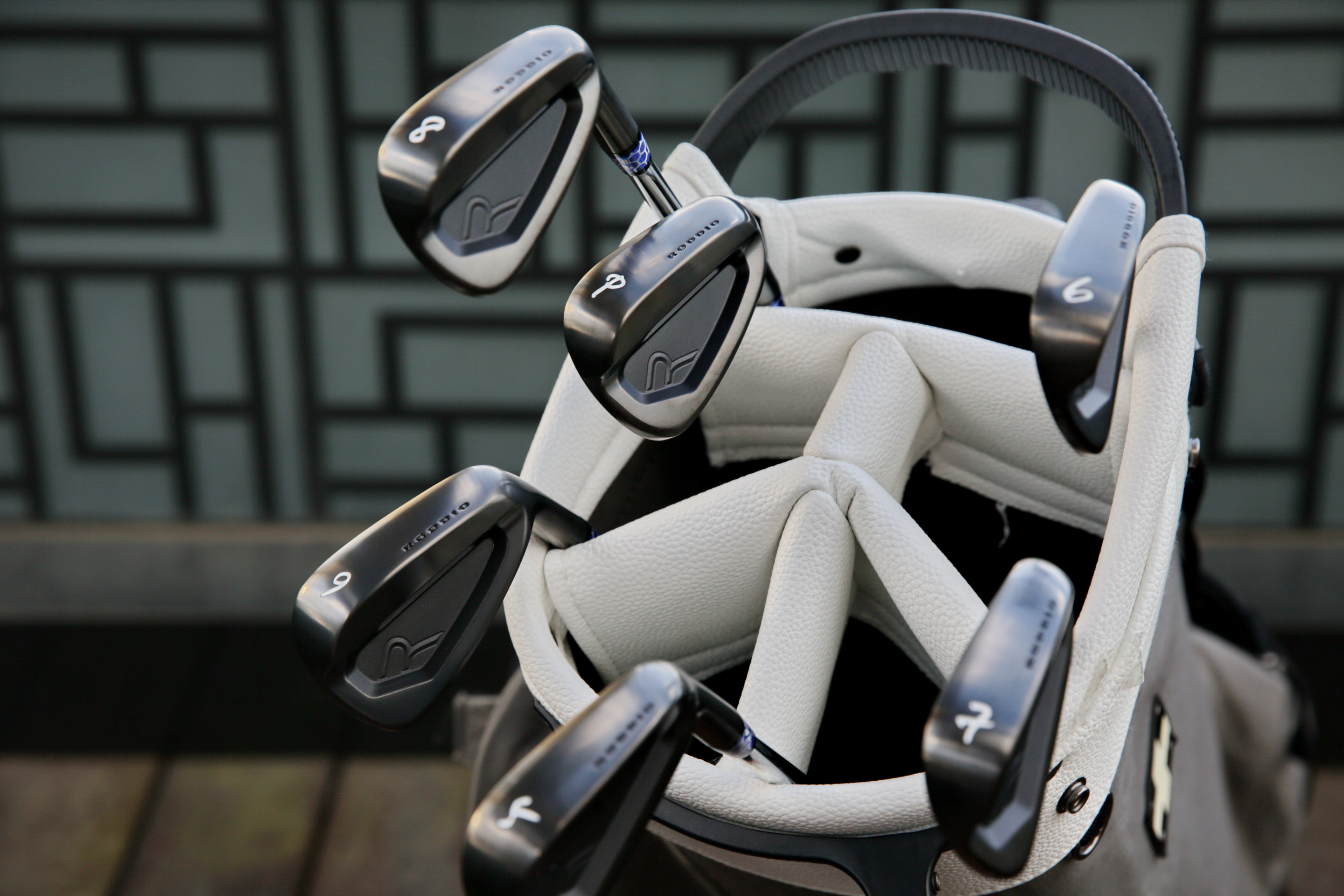 黑色力量-小蜜蜂 Roddio DLC MC